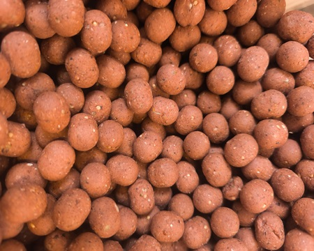 Mr: Bug 10Kg Dumbells 16mm